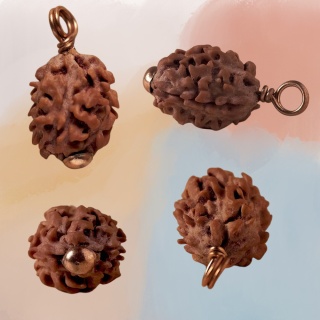 Authentic Isha Dwimukhi Rudraksha bead. Consecrated at Dhyanalinga