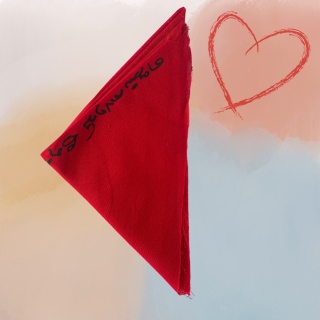 Devi Vastram - Consecrated to Devi Linga Bhairavi Gudi