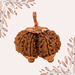 Gaurishankar Queen of Rudraksha Consecrated Isha Gauri-Shankar Rudraksha