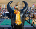 Isha Life's Nandi Statue (Nandi Replik)