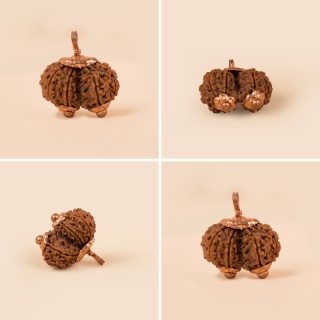 Gaurishankar Queen of Rudraksha Consecrated Isha Gauri-Shankar Gowrishanker