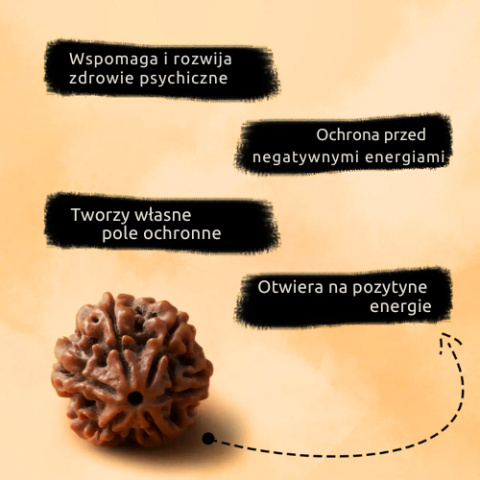 Shanmukhi - Rudraksha ISHA Shanmukhi 6-faced Consecrated in Dhyanalinga