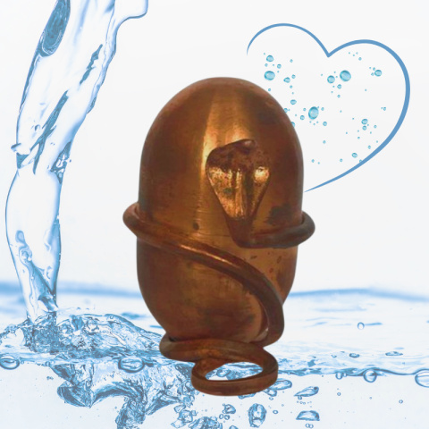 Jeevarasam Consecrated Water ISHA