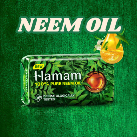 Pure Neem Oil Soap Hamam 100g Seife