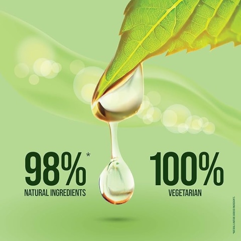 NEEM Herbal Toothpaste ( Pure Vegetarian ) 100g