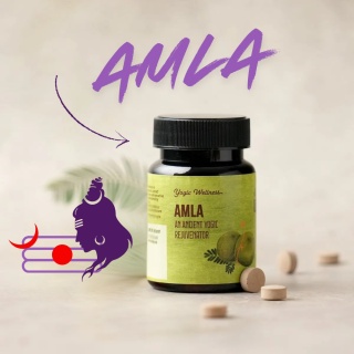 Amla Tablets 60 pcs. ISHA