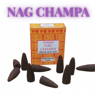 BACKFLOW CONICAL INCENSE NAG CHAMPA GOLOKA 10 pcs.