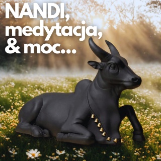 NANDI Dignified Meditation - ISHA