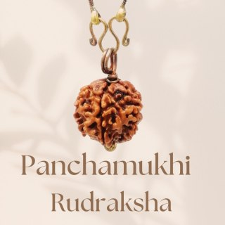 Long Chain - Rudraksha Panchamukhi Isha (five faced) with Copper Chain
