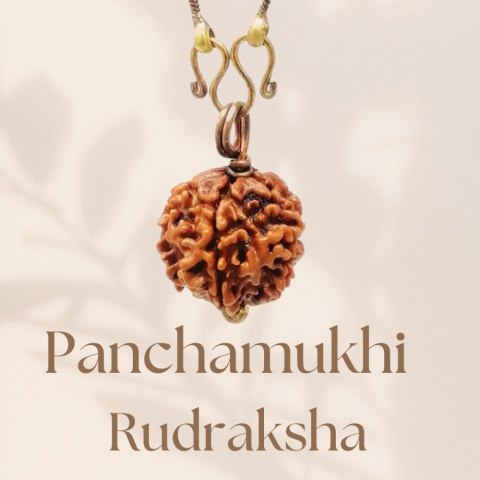 Long Chain - Rudraksha Panchamukhi Isha (five faced) with Copper Chain