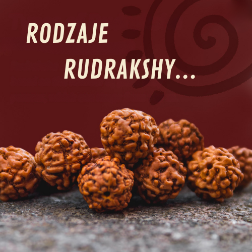 Rudraksha, jej rodzaje i właściwości...